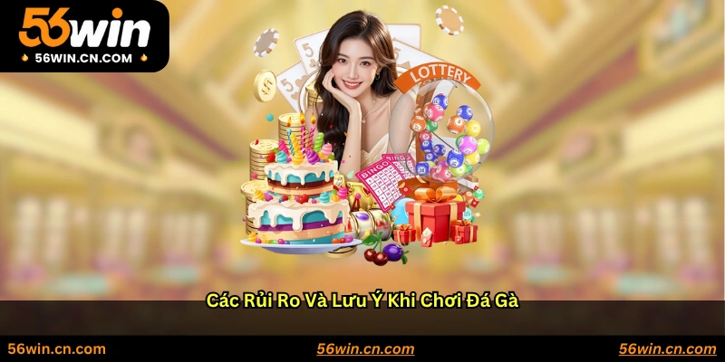 Các rủi ro và lưu ý khi chơi đá gà