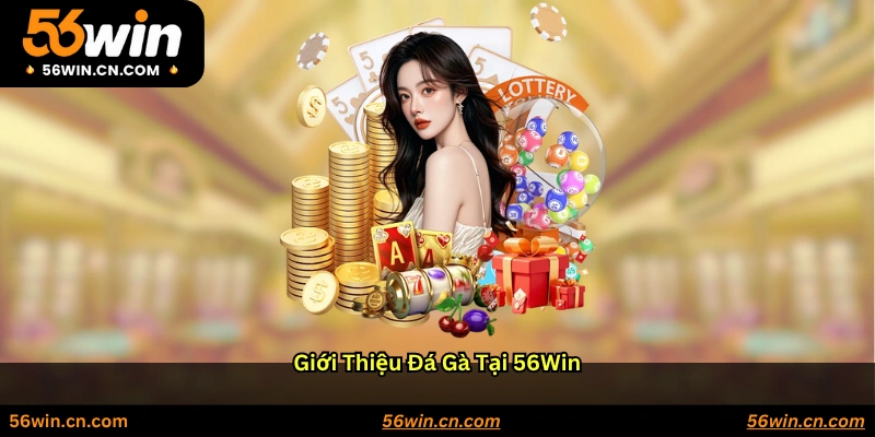 Giới thiệu đá gà tại 56WIN