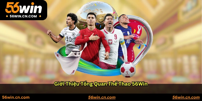 Giới thiệu tổng quan Thể thao 56WIN