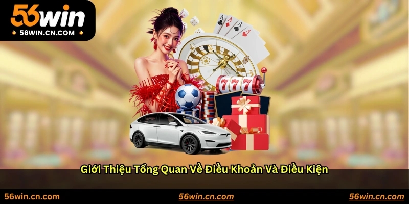 Giới thiệu tổng quan về Điều khoản và Điều kiện